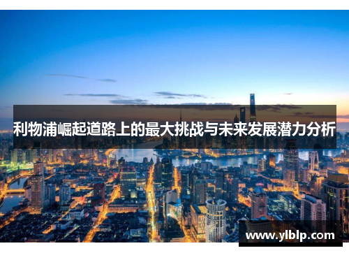 利物浦崛起道路上的最大挑战与未来发展潜力分析
