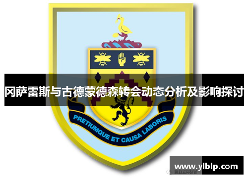 冈萨雷斯与古德蒙德森转会动态分析及影响探讨