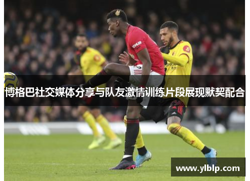 博格巴社交媒体分享与队友激情训练片段展现默契配合