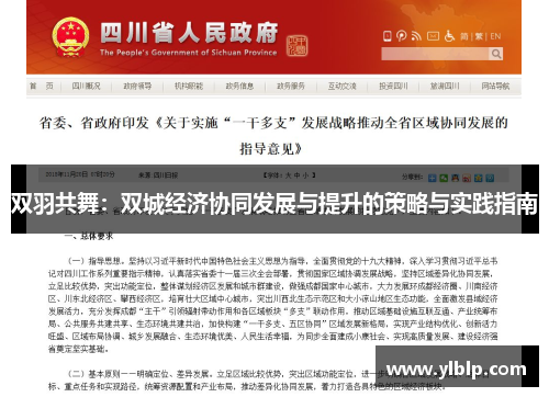 双羽共舞：双城经济协同发展与提升的策略与实践指南
