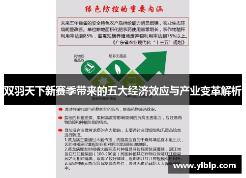 双羽天下新赛季带来的五大经济效应与产业变革解析