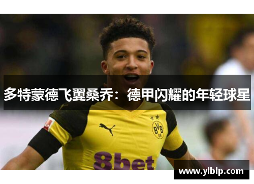 多特蒙德飞翼桑乔：德甲闪耀的年轻球星